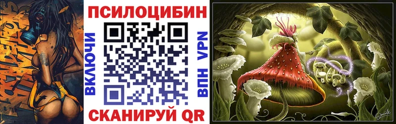 продажа наркотиков  Отрадное  Галлюциногенные грибы Cubensis 